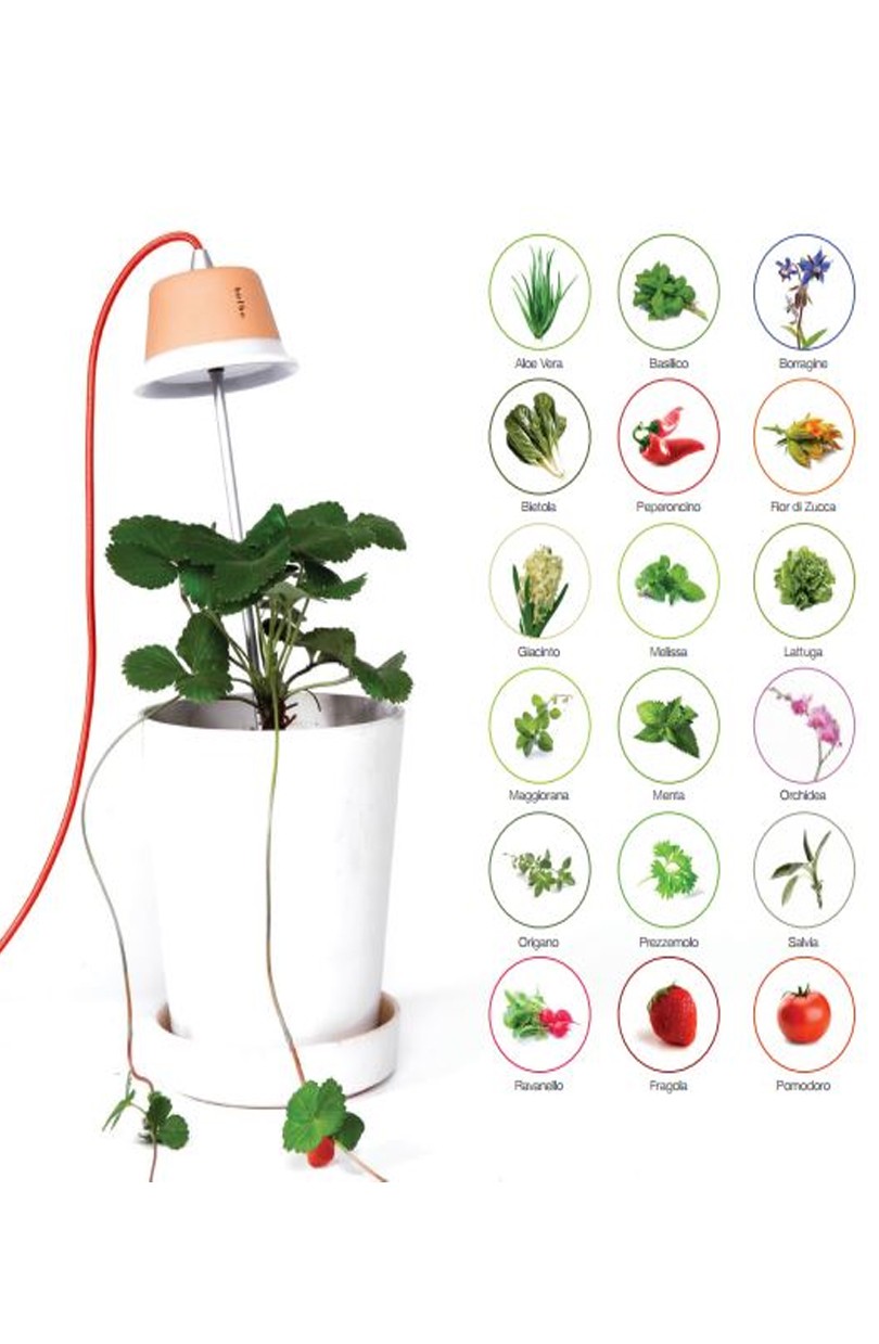 Lampada per la coltivazione delle piante Chlorophyll