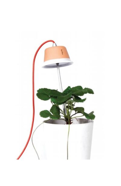 Lampada per piante Chlorophyll